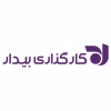 کارگزاری اقتصاد بیدار