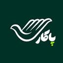 پاکار